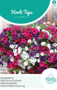 Petunia Hanging Basket Pendula Mixed Seed